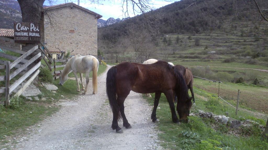 Can Pei Oix Buitenkant foto